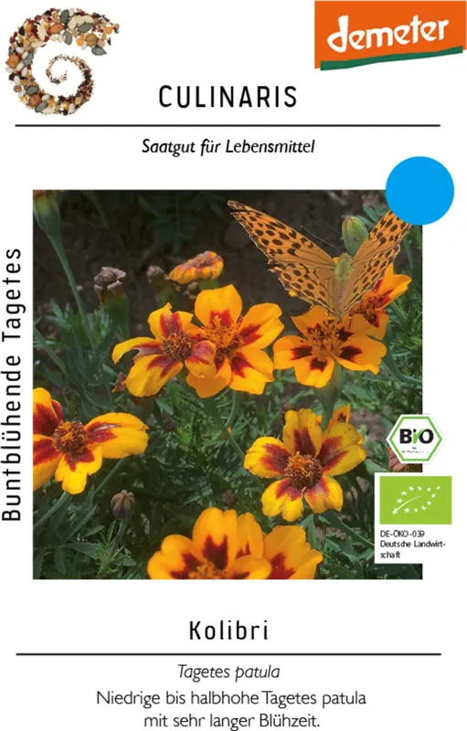 Outlet - Culinaris Tagetes Patula - Kolibrie