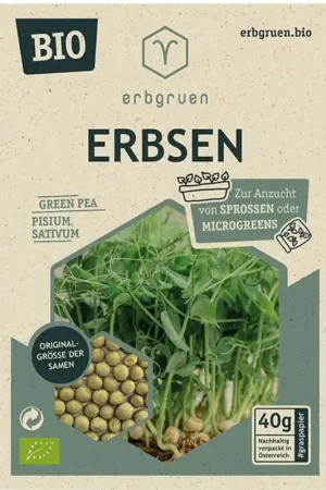 Veel gevraagd | erbgruen Erwt - BIOLOGISCHE Microgroenten/Kiemzaden