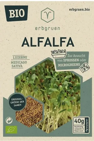 Rechtstreeks van de fabrikant | erbgruen Alfalfa - BIOLOGISCHE Microgroenten/Kiemzaden