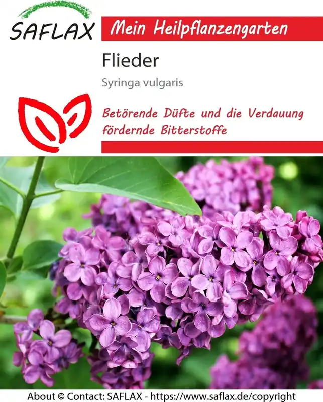 Online kopen | Saflax Sering
