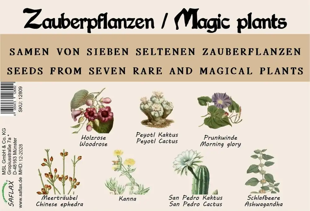 Direct beschikbaar | Saflax Zadenset "Toverplanten"