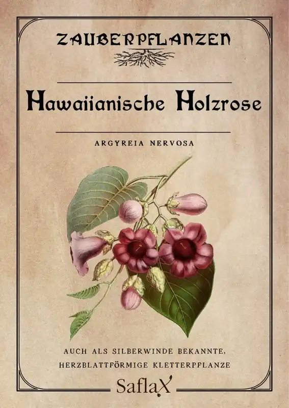 Saflax Hawaiiaanse Baby Woodrose - Direct kopen