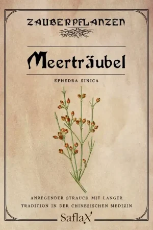 Nu kopen - Saflax Zeedruif