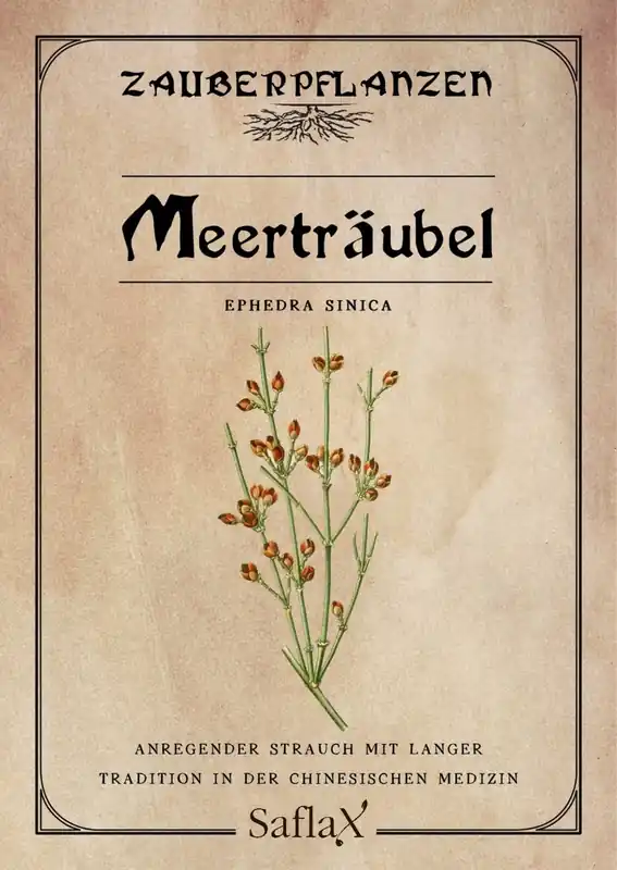 Nu kopen - Saflax Zeedruif