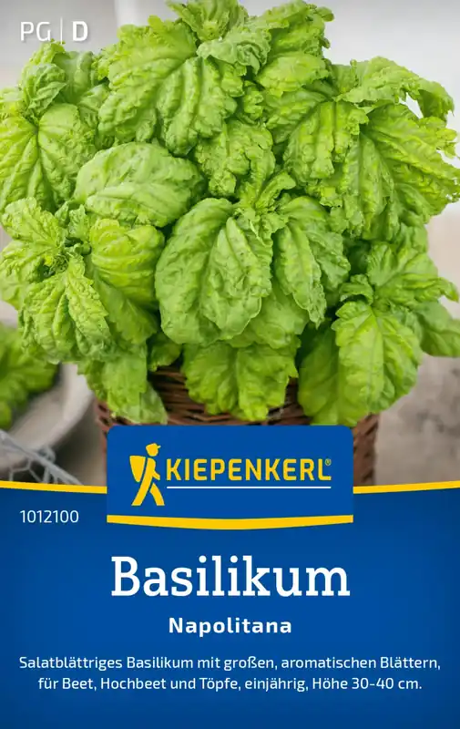 Kiepenkerl Basilicum Napolitana | Online bestelbaar