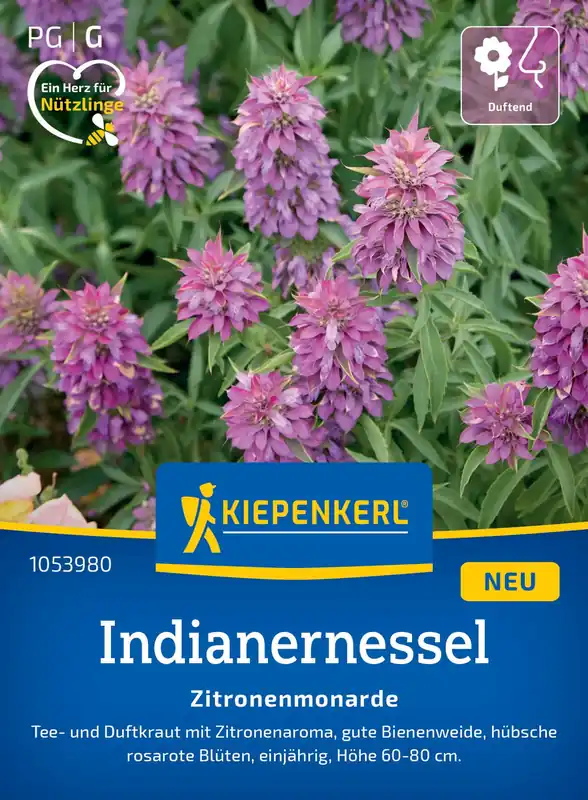 Kiepenkerl Gewone Bergamotplant - Veel gekozen