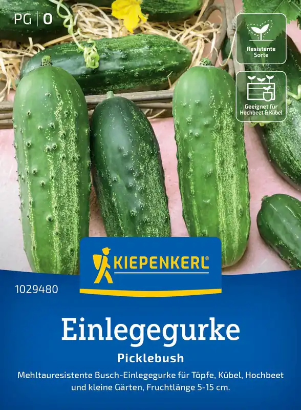 Premiumkwaliteit - Kiepenkerl Augurk - Picklebush