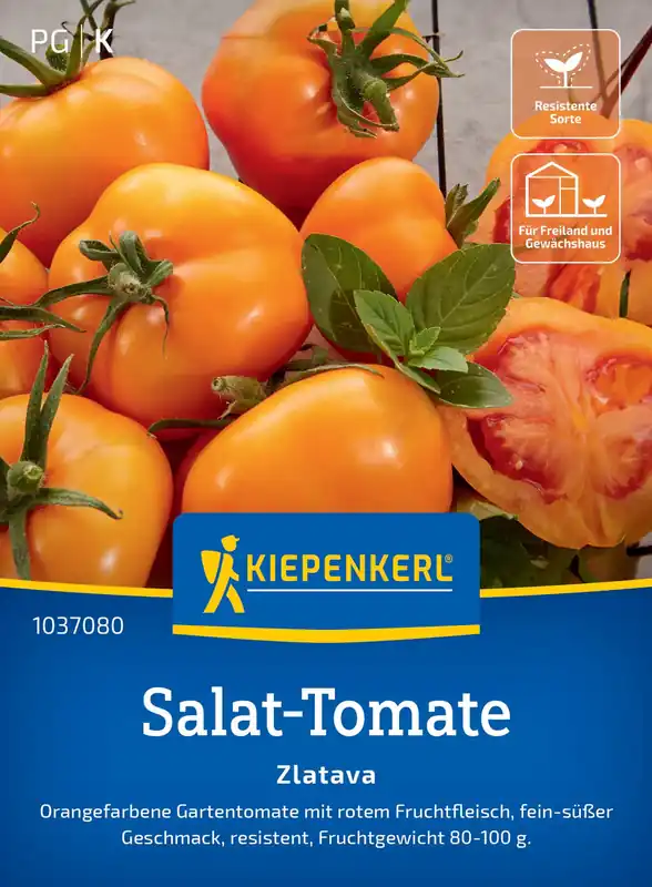 Net gelanceerd - Kiepenkerl Salade Tomaat - Zlatava