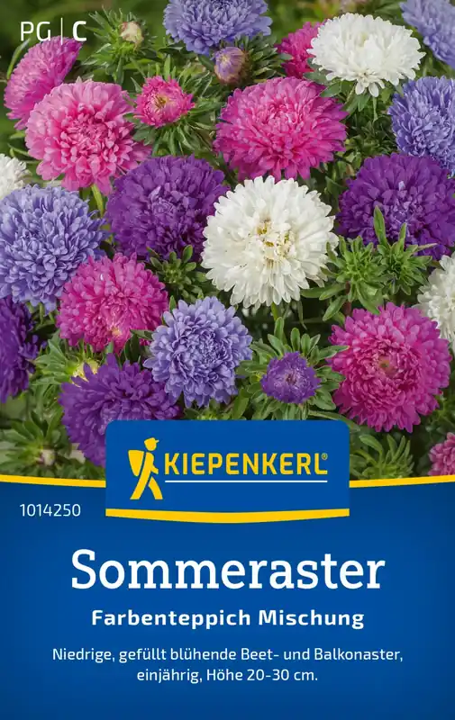 Direct kopen | Kiepenkerl Zomeraster "Farbenteppich" Mix