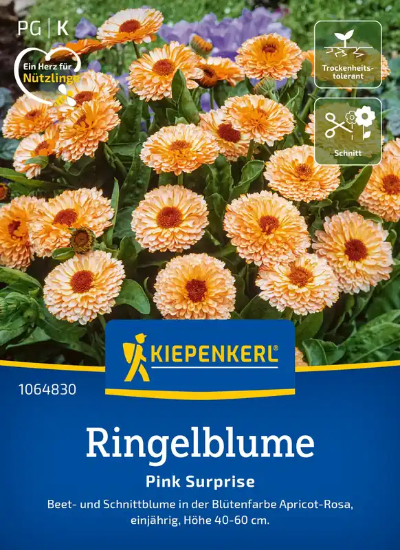 Kiepenkerl Goudsbloem Pink Surprise | Actie