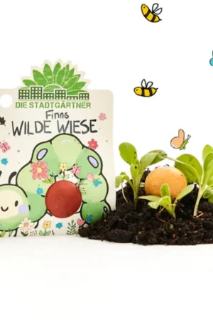 Die Stadtgärtner Bloemenknikkers "Finn‘s Wilde Weiland" - Scherpe prijs