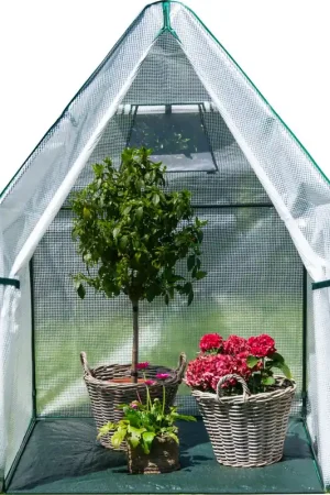 Westmann Foliekas Wintertent "Chili" met Vloer - Professionele kwaliteit