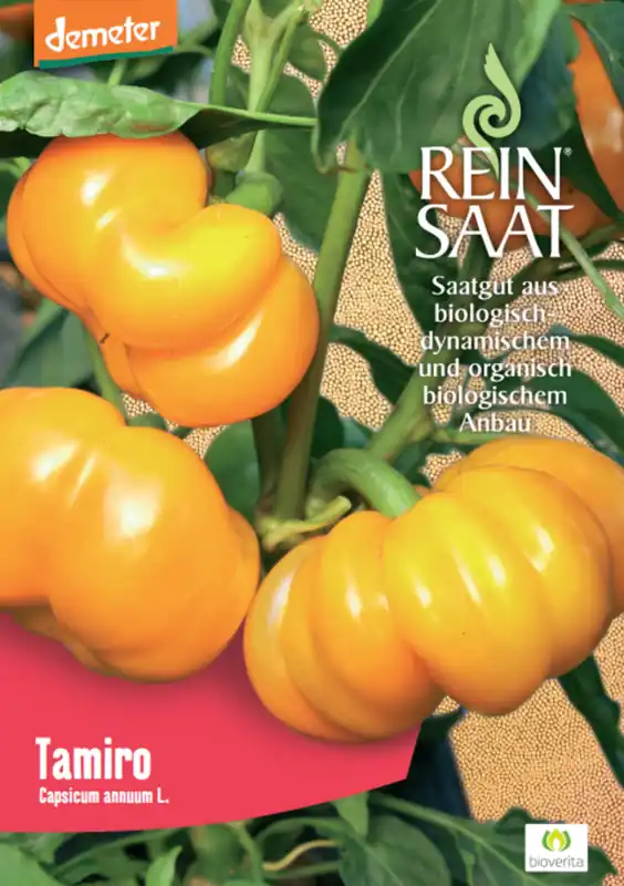ReinSaat Paprika "Tamiro" | Klantfavoriet