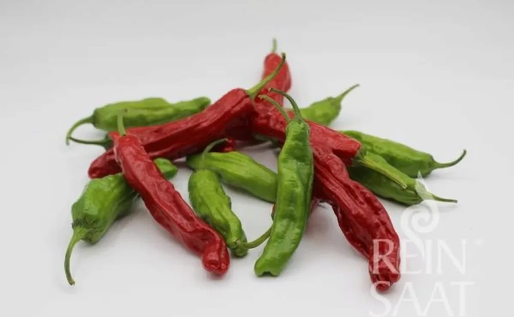 Topdeal - ReinSaat Milde Chilipeper "Shishito"