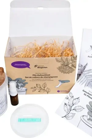 Andermatt Biogarten Geschenkdoos Paddenstoelen Kweekset met Voucher - Alleen vandaag