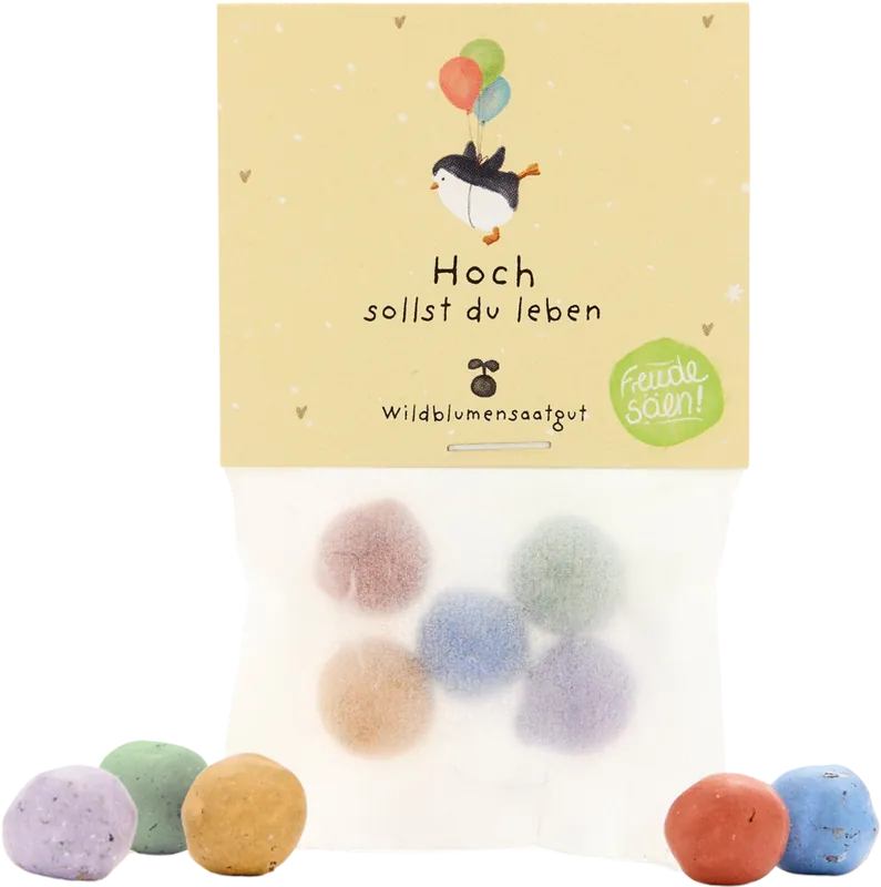 Die Stadtgärtner Complimenten - Pergamin - Hoch sollst du leben | Bestseller