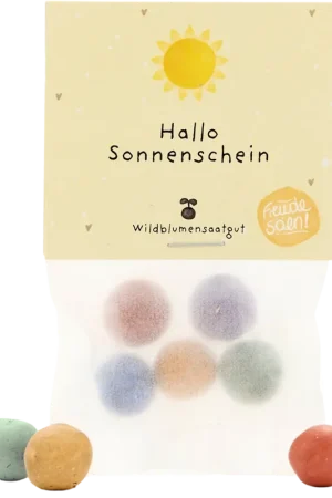Prijs verlaagd - Die Stadtgärtner Complimenten - Glassine - Hallo Sonnenschein