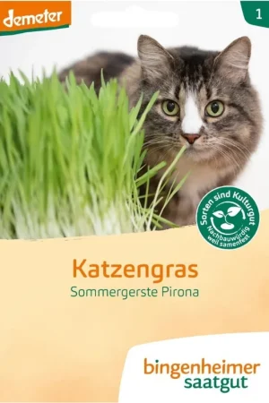 Bingenheimer Saatgut Kattengras, 60 g - Scherpe prijs