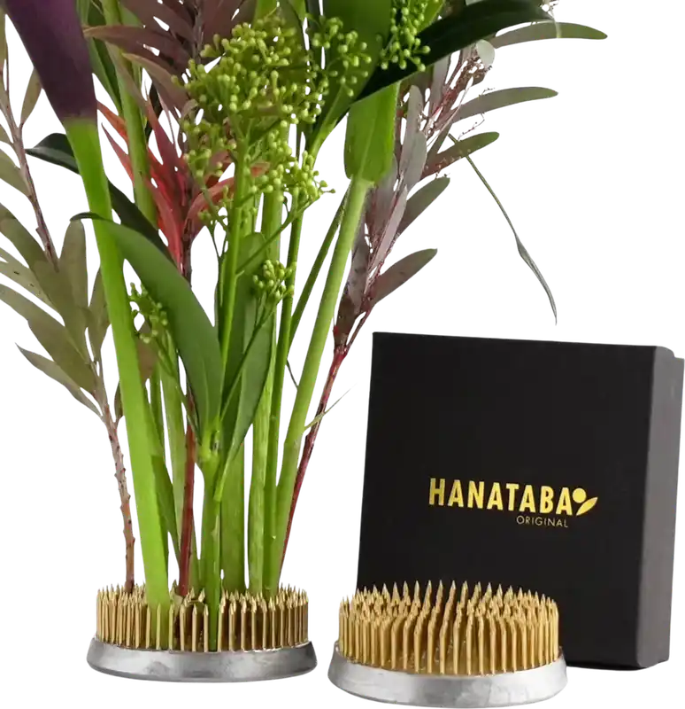 Speciale aanbieding | Hanataba Kenzan – Bloemenschikhulp, 3,4 cm