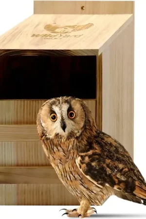 Wild Yard Nesting Box for Owls - Actie