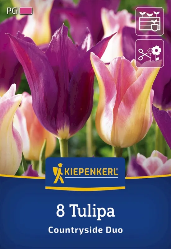 Outlet | Kiepenkerl Tulpen Mix Countryside, 8 stuks