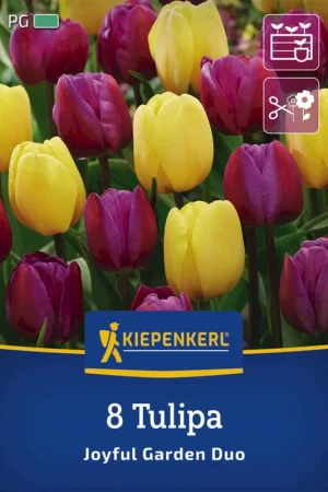Voordelig - Kiepenkerl Tulpen Mix Joyful Garden, 8 stuks