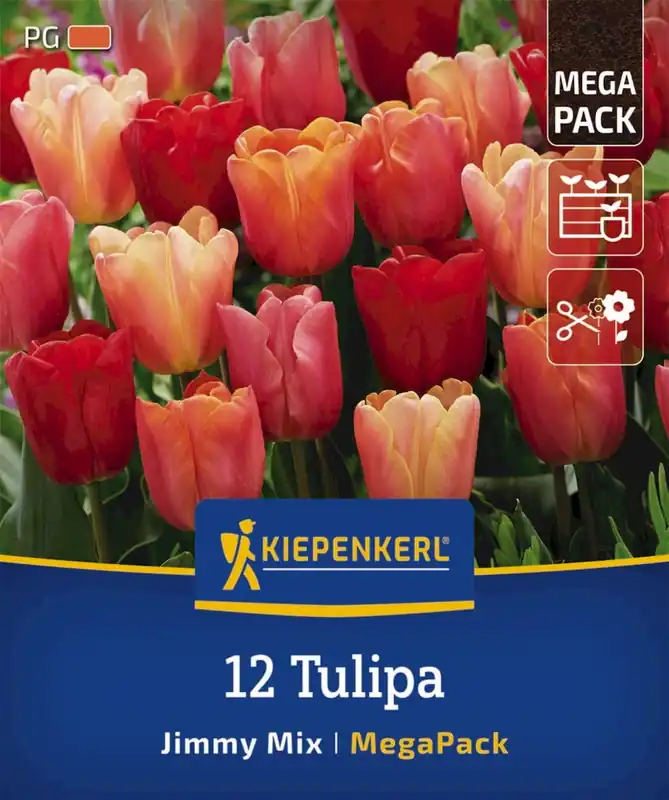 Nieuw - Kiepenkerl Mega-Pack Triumph Tulpen Jimmy Mix, 12 stuks