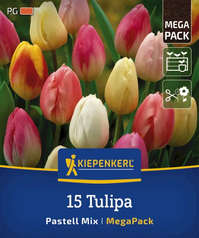 Kiepenkerl Mega-Pack Triumph Tulpen Pastel Mix, 15 stuks - Slechts tijdelijk