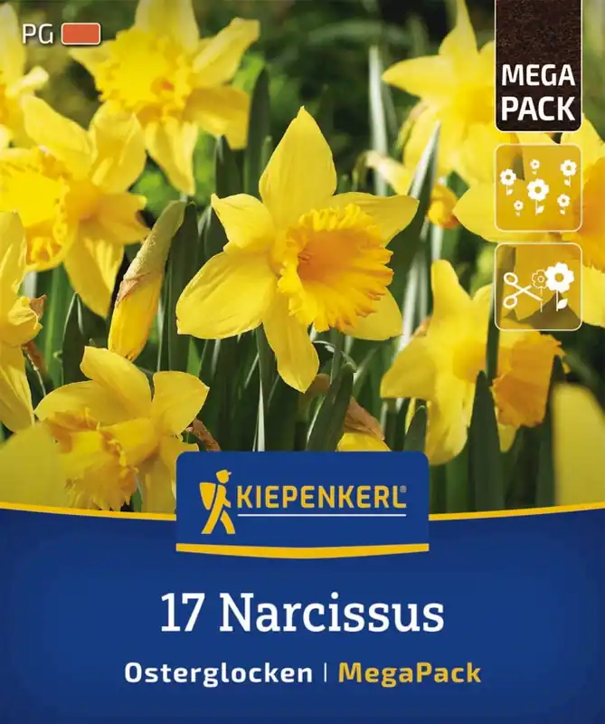 Kiepenkerl Mega-Pack Narcissen, 17 stuks - Scherpe prijs