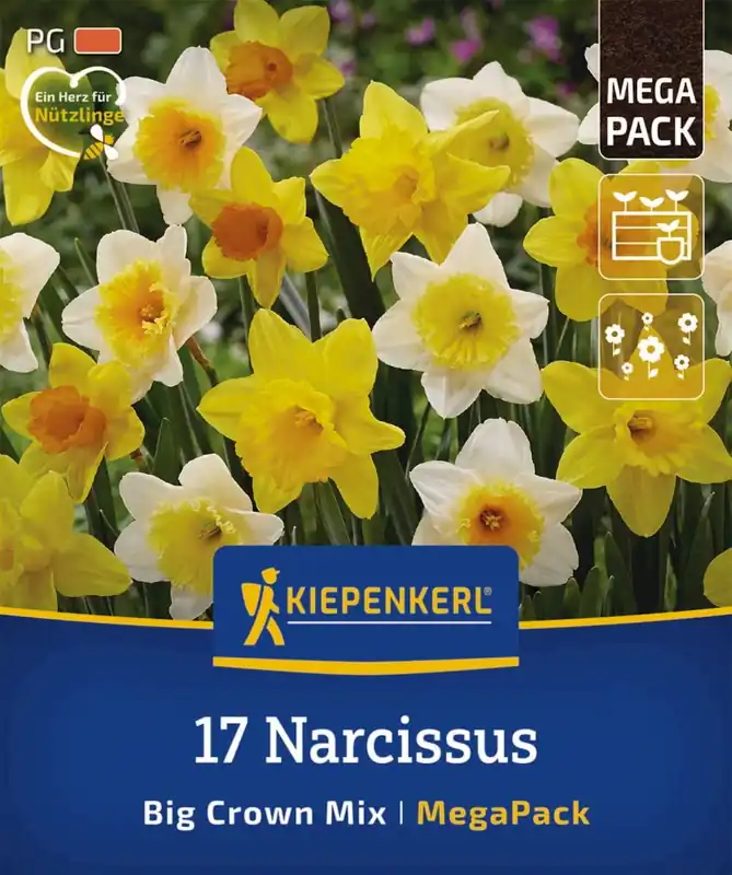 Kiepenkerl Mega-Pack Narcissen Grootkronige Mix, 17 stuks - Alleen vandaag