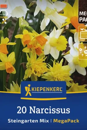 Snelle verzending - Kiepenkerl Mega-Pack Rotstuin-Narcissen Mix, 20 stuks