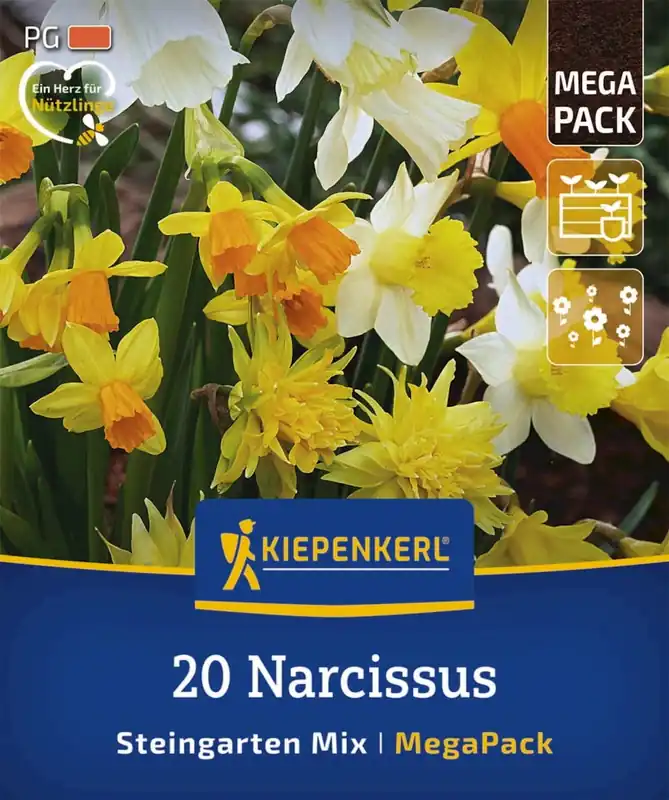 Snelle verzending - Kiepenkerl Mega-Pack Rotstuin-Narcissen Mix, 20 stuks