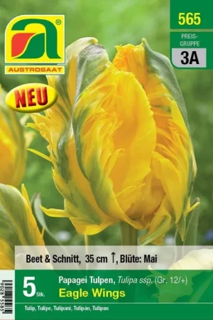 Sale - AUSTROSAAT Papegaai Tulpen Eagle Wings, 5 Uien