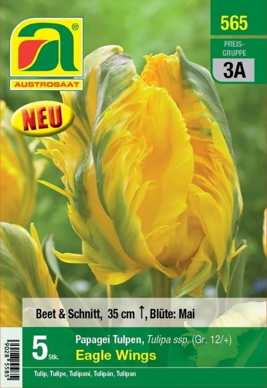 Sale - AUSTROSAAT Papegaai Tulpen Eagle Wings, 5 Uien
