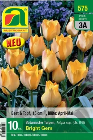 Topprijs | AUSTROSAAT Botanische Tulpen Bright Gem, 10 Uien