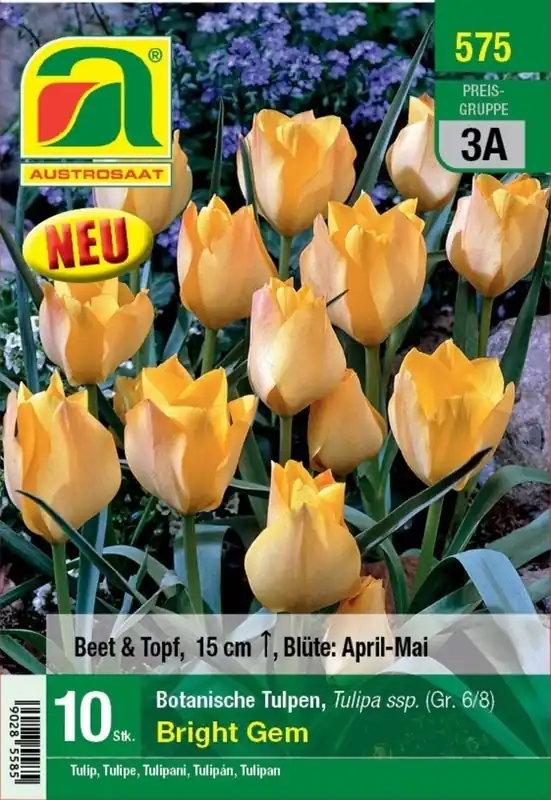 Topprijs | AUSTROSAAT Botanische Tulpen Bright Gem, 10 Uien