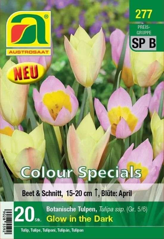 Extra voordeel - AUSTROSAAT Botanische Tulpen Glow in the Dark, 20 Uien