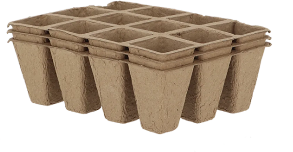 Esschert Design Kweekbak S - Set van 3 - Pak je kans