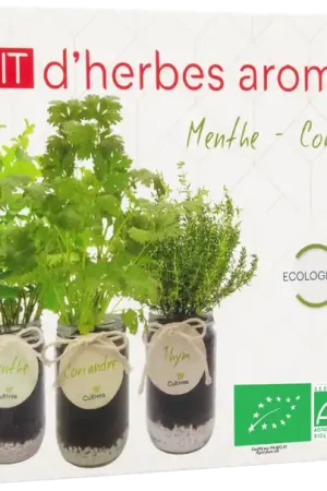 Cultivea Ready to Grow Set Kruiden (Munt, Koriander, Tijm) | Flitsaanbieding