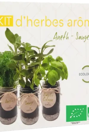 Cultivea Ready to Grow Set Kruiden (Salie, Citroenbasilicum, Dille) - Klaar voor verzending
