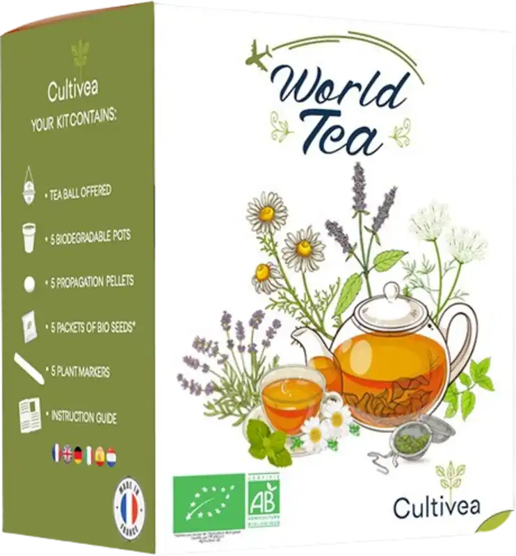 Cultivea Mini Kit "World Tea" | Uitverkoop