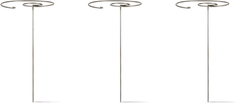 Sale - Garden Trading Barrington Spiraalvormige Plantensteunen - Set van 3