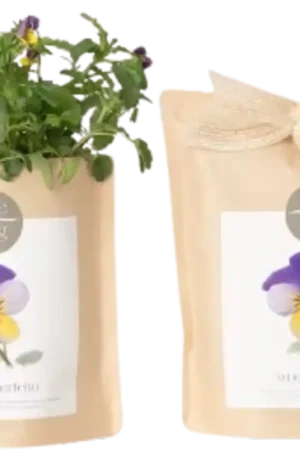 Prijs verlaagd - Life in a bag Grow Bag Viooltjes