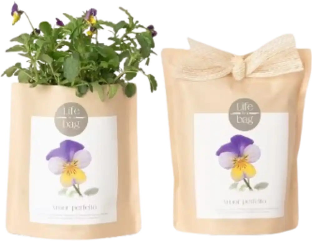 Prijs verlaagd - Life in a bag Grow Bag Viooltjes