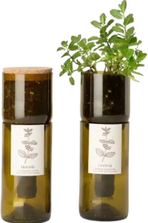 Life in a bag Grow Bottle Munt - Online bestellen