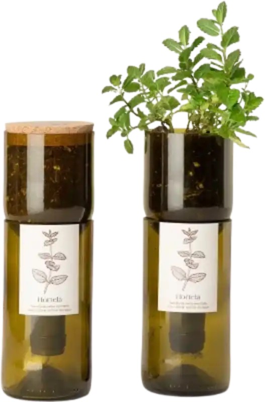 Life in a bag Grow Bottle Munt - Online bestellen