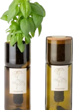 Life in a bag Grow Bottle Basilicum | Snelle verzending