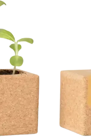 Tijdelijke aanbieding - Life in a bag Grow Cube Zonnebloem