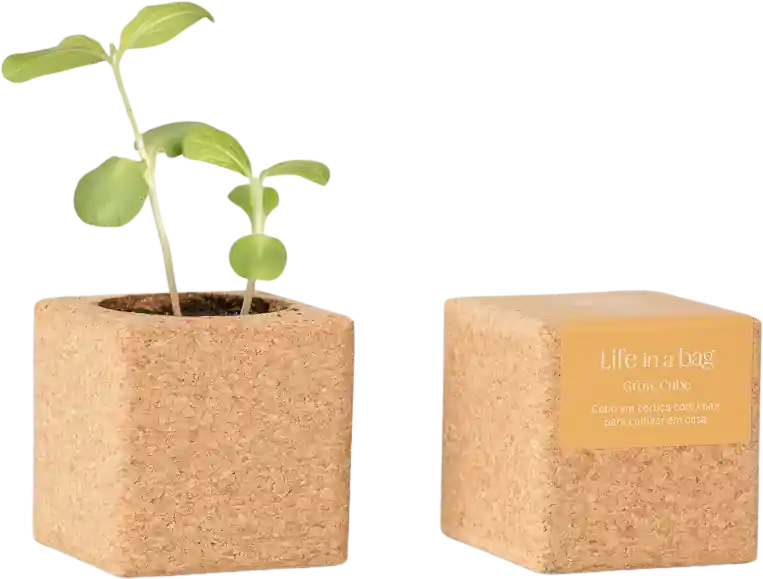 Tijdelijke aanbieding - Life in a bag Grow Cube Zonnebloem