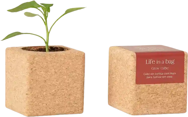 Life in a bag Grow Cube Chili | Veel gevraagd